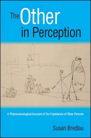 The Other in Perception: A Phenomenological Account of Our Experience of Other Persons