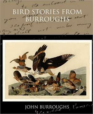 Bird Stories from Burroughs de John Burroughs