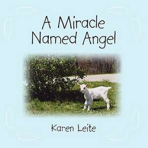 A Miracle Named Angel de Karen Leite