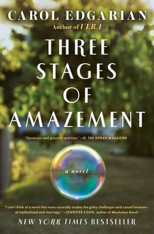 Three Stages of Amazement de Carol Edgarian