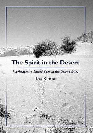 The Spirit in the Desert de Brad Karelius