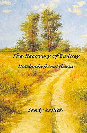 The Recovery of Ecstasy de Sandy Krolick