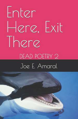 Enter Here, Exit There de Joe E. Amaral