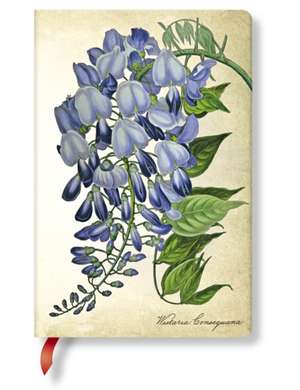 PAINTED BOTANICAL BLOOMING WISTERIA MINI de UNL