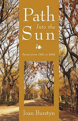 Path Into the Sun de Joan Burstyn