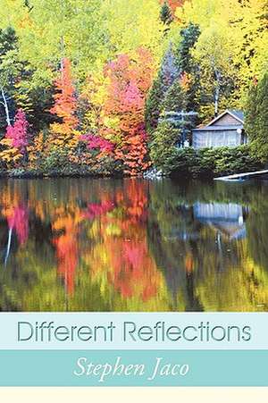 Different Reflections de Stephen Jaco