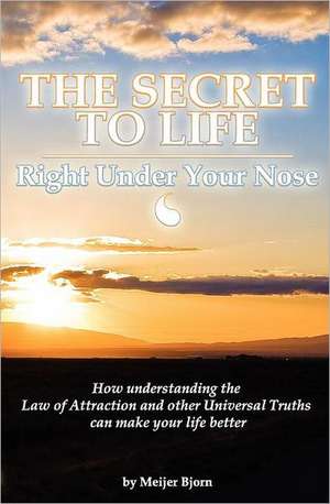 The Secret to Life: How Understanding the Law of Attraction and Other Universal Truths Can Make Your Life Better de Meijer Bjorn