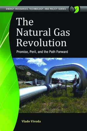 The Natural Gas Revolution: Promise, Peril, and the Path Forward de Vlado Vivoda