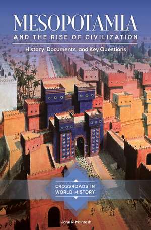 Mesopotamia and the Rise of Civilization: History, Documents, and Key Questions de Jane R. McIntosh