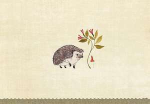 Hedgehog Note Cards (Stationery, Boxed Cards) de Inc Peter Pauper Press