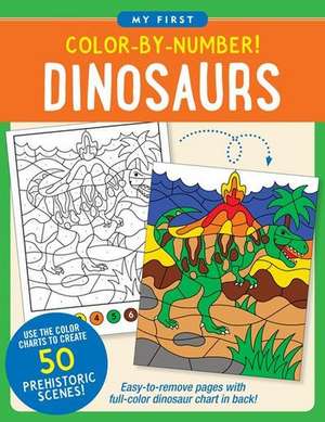 Color-By-Number! Dinosaurs de Martha Zschock