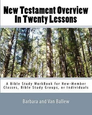 New Testament Overview in Twenty Lessons de Barbara Ballew