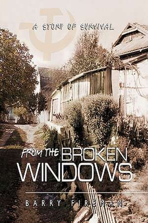 From The Broken Windows de Barry Fireman