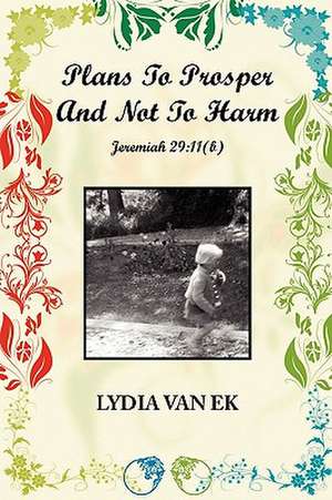 Plans to Prosper and Not to Harm de Lydia Van Ek