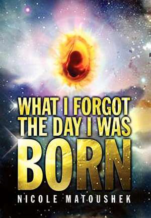 What I Forgot the Day I Was Born de Nicole Matoushek