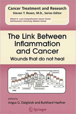 The Link Between Inflammation and Cancer: Wounds that do not heal de Angus G. Dalgleish