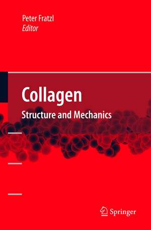 Collagen: Structure and Mechanics de Peter Fratzl