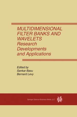 Multidimensional Filter Banks and Wavelets: Research Developments and Applications de Sankar Basu