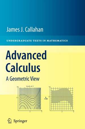 Advanced Calculus: A Geometric View de James J. Callahan