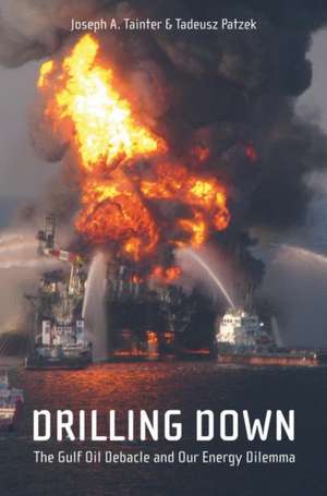 Drilling Down: The Gulf Oil Debacle and Our Energy Dilemma de Joseph A. Tainter