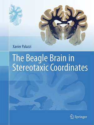 The Beagle Brain in Stereotaxic Coordinates de Xavier Palazzi