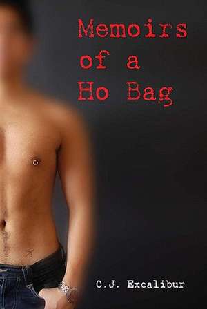 Memoirs of a Ho Bag: Again de C. J. Excalibur