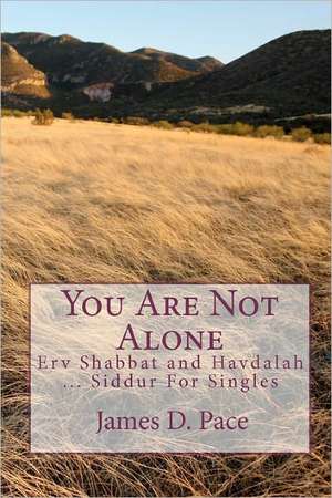 You Are Not Alone: Erv Shabbat to Havdalah ... Siddur for Singles de James D. Pace