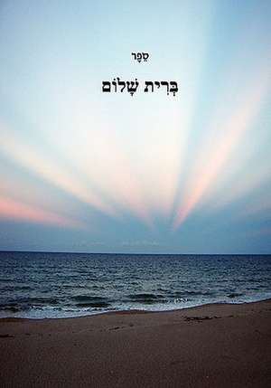 Bris Shulem: Reminders for Being in the Moment de Mohorosh Of Heichal Hakodesh Breslov