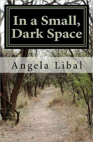 In a Small, Dark Space: Unusual Discoveries Behind the Common Belief de Angela Libal