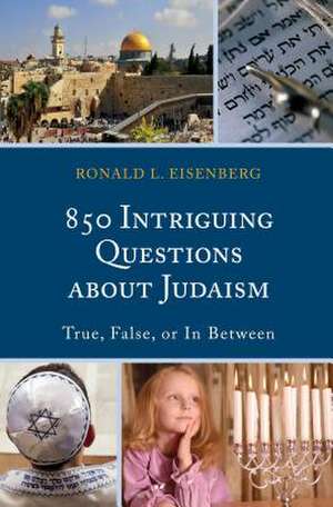 850 Intriguing Questions about Judaism de Ronald L. Eisenberg