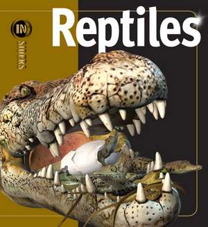 Reptiles de Mark Hutchinson