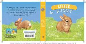 Little Bunny de Lauren Thompson