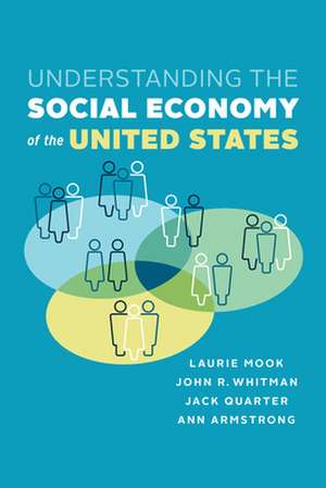 Understanding the Social Economy of the United States de Laurie Mook