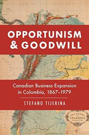 Opportunism and Goodwill de Stefano Tijerina