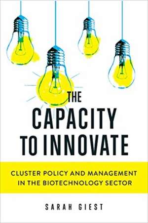 Capacity to Innovate de Sarah Giest