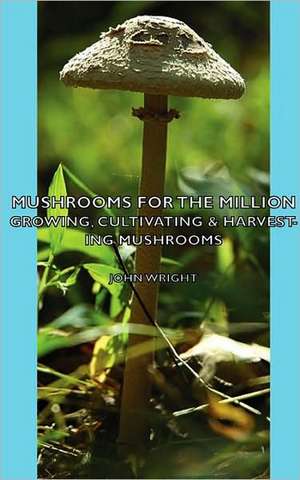 Mushrooms for the Million - Growing, Cultivating & Harvesting Mushrooms de John Wright