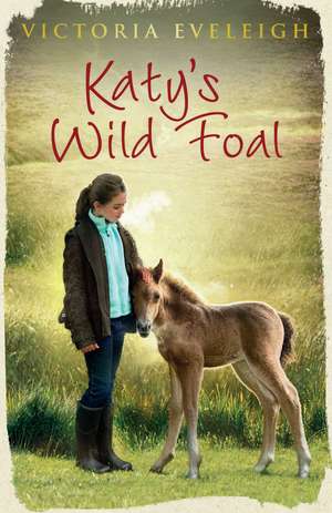 Katy's Exmoor Ponies: Katy's Wild Foal de Victoria Eveleigh