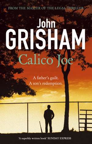 Calico Joe de John Grisham