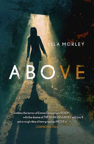 Above de Isla Morley