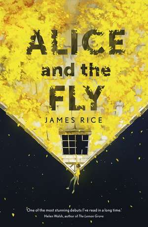 Rice, J: Alice and the Fly de James Rice