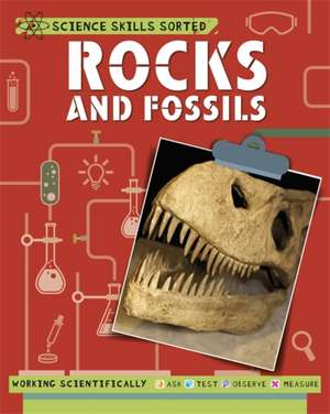 Science Skills Sorted!: Rocks and Fossils de Anna Claybourne