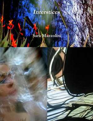 Interstices de Sara Mazzolini