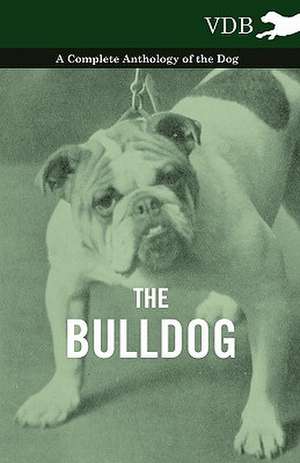 The Bulldog - A Complete Anthology of the Dog - de various