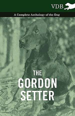 The Gordon Setter - A Complete Anthology of the Dog de various