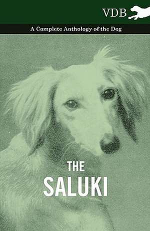 The Saluki - A Complete Anthology of the Dog de various