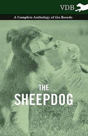 The Sheepdog - A Complete Anthology of the Breeds de various