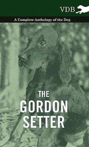 The Gordon Setter - A Complete Anthology of the Dog de various