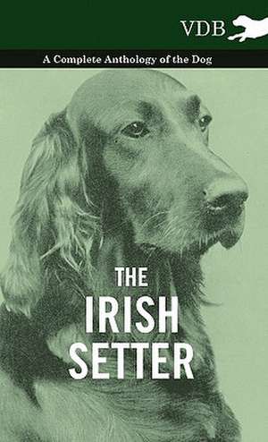 The Irish Setter - A Complete Anthology of the Dog de various