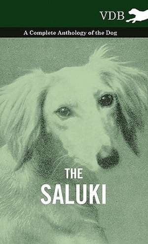 The Saluki - A Complete Anthology of the Dog de various