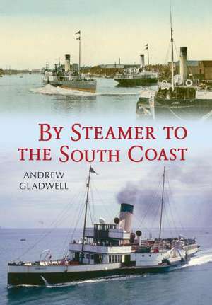 Steamers to the South Coast: The Windmill Years, 1932-1964 de Andrew Gladwell